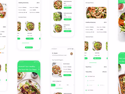 Healthy And Dietary Programs Journey (Mobile App)
