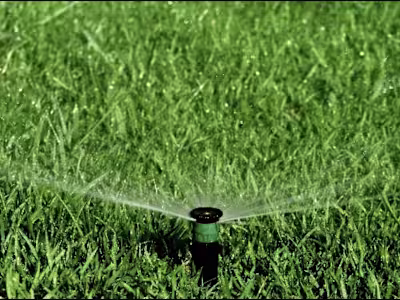 Irrigation & Landscaping Services