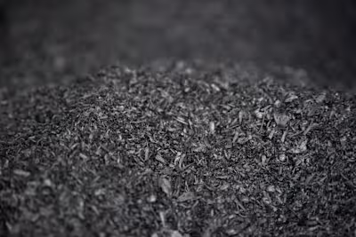 Biochar: The Miracle Material For a Sustainable World