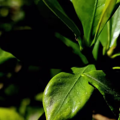 #jojomohmad_14 on Instagram‎: ”اشكر الله على كل حال🤍
(وعسى أن …