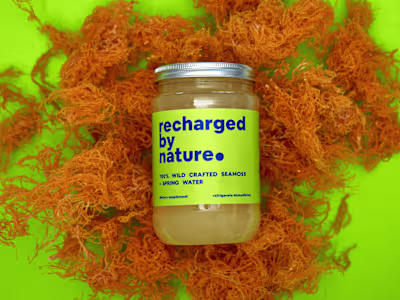 Brand Identity Design & Digital Strategy | Recharged By Nature
