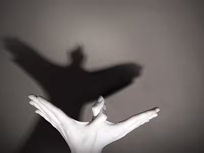 THE SILENT SHADOWS