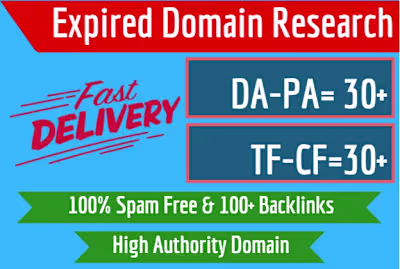 I will do best expired domain research