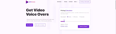 Vidvoices Jingles - Website design & development