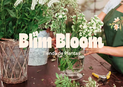Blim Bloom | Plant Store Identity Design