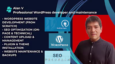 Professional WordPress Website Development & Maintenance