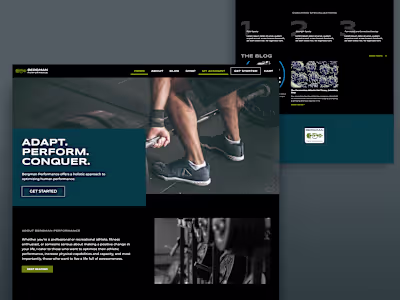 Bergman Performance Website