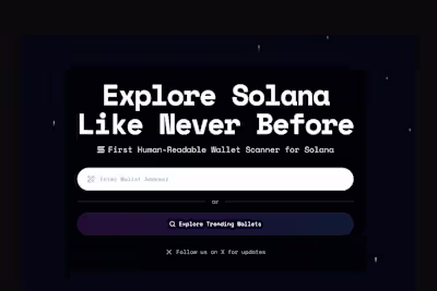 Solana Wallet Explorer