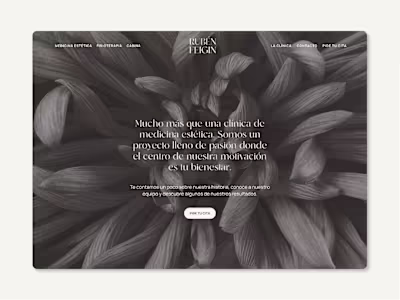 A web and brand identity