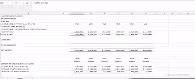 DATA ENTRY IN EXCEL SHEET