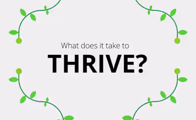 This project I did for