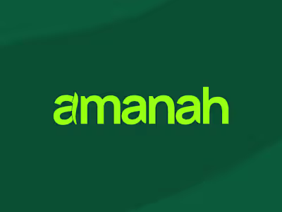 Brand Identity for a Stablecoin Bank