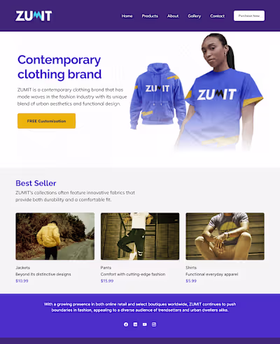 Zumit Website Mockup & Email Newsletter