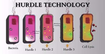 Sample Diagram