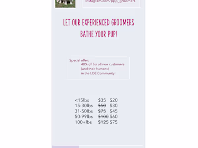 Summer Sale Print Set – Local & Regional Pet Grooming Campaign