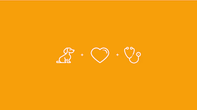 Veterinary Clinic Brand Visual Identity