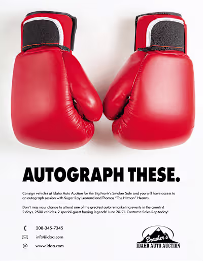 Promotional Sale Advertisement