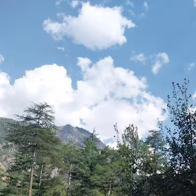 Color Grading That Tells a Story…