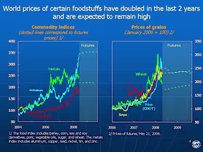 Global Food Price Tracker & Inflation Impact Dashboard