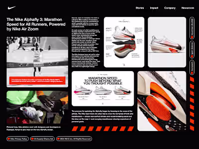 The Nike Alphafly 3
