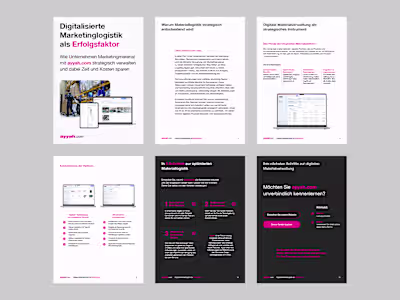 B2B Logistics Whitepaper | Technical Layout Created a polish...