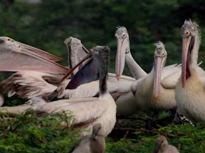 Hyderabad to Guntur Cab