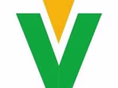 Professional Catalog Translation for VTEKE Electric