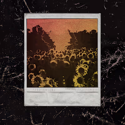 Sunflower Polaroid Edit on Behance