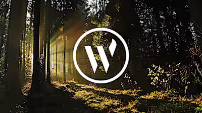 Woodland Stove Centre - Brand Identity