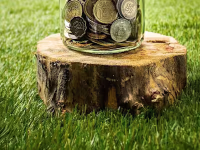 Mobigrow (DIGITAL/MOBILE FINANCE)