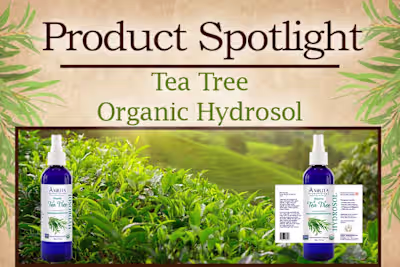 Launch of Tea Tree Hydrosol by Amrita Aromatherapy