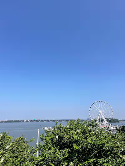 Embracing Growth Beyond Comfort