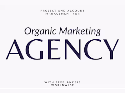 Lead Project Manager for Marketing Agency