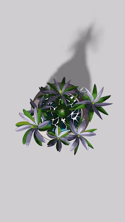 Ornithogalum Umbellatum