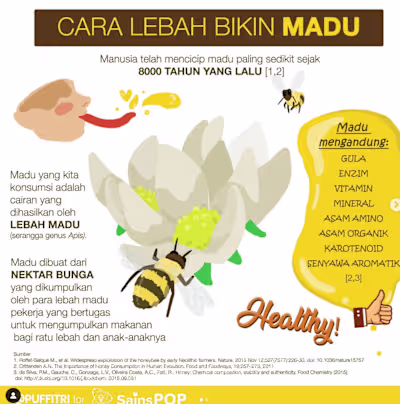 Custom illustrated infographic for Sainspop