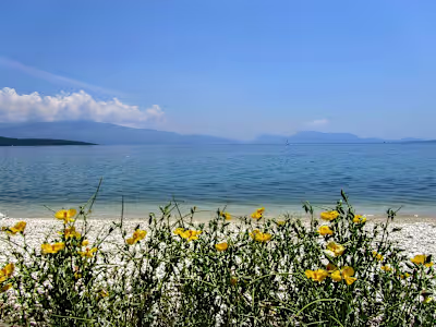 Retreat Holiday Website