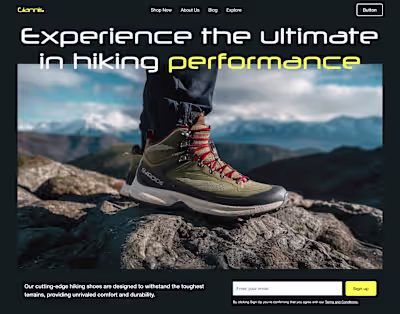 Ecommerce Web Design Case Study