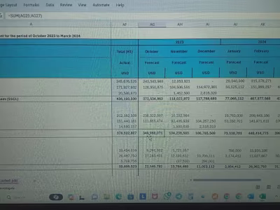 Budgeting and Forecast