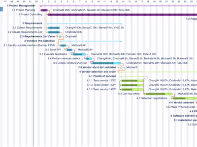 Project Management for an E-Commerce Website Launch