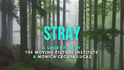 Short Film Pitch Deck