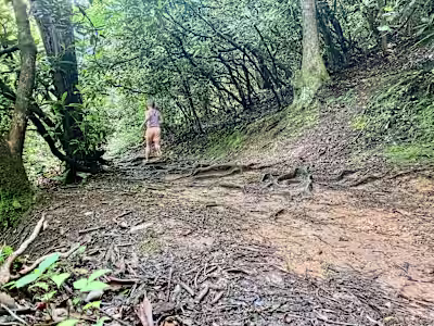 Trail Towns: Townsend, Tennessee