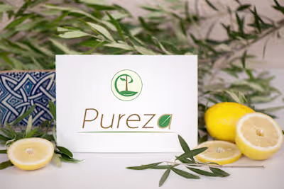 Professional Minimal Logo also Suitable for Web Use