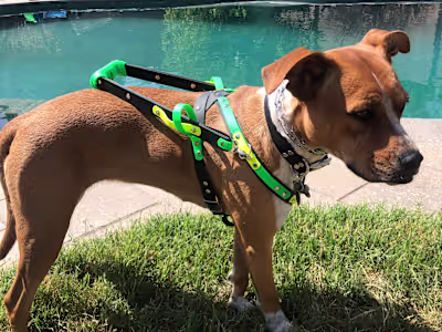 Biothane | Mischief Maker Shop