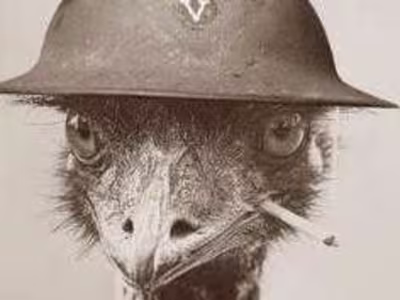 The Great Emu War of 1932: Australia's Odd Battle