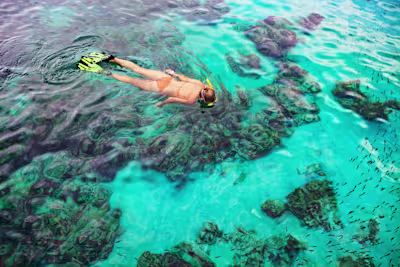 The 5 Best Snorkeling Spots on Oʻahu in 2024