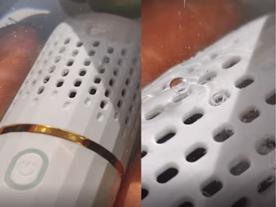 Vegetable purifier