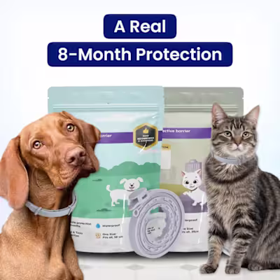 Pure-Shield™ is Recommended by Vets, and 20,000+ Satisfied Cust…