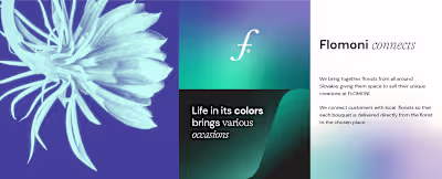 FLOMONI - Visual Identity