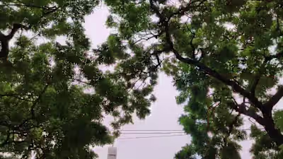 T. Nagar: Exploring the Commercial Hub of the City - Documentary