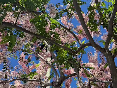 EVENT RECAP | JC Wilderness - Christian Camp 